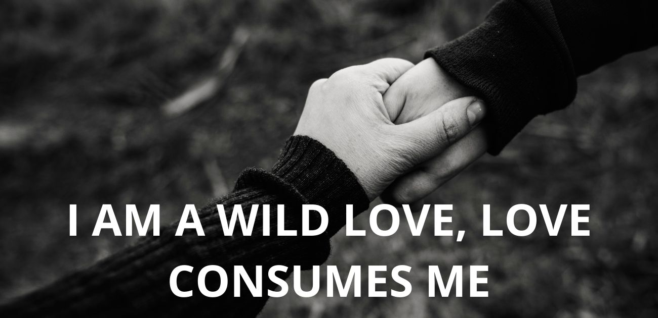I am a wild love, love consumes me