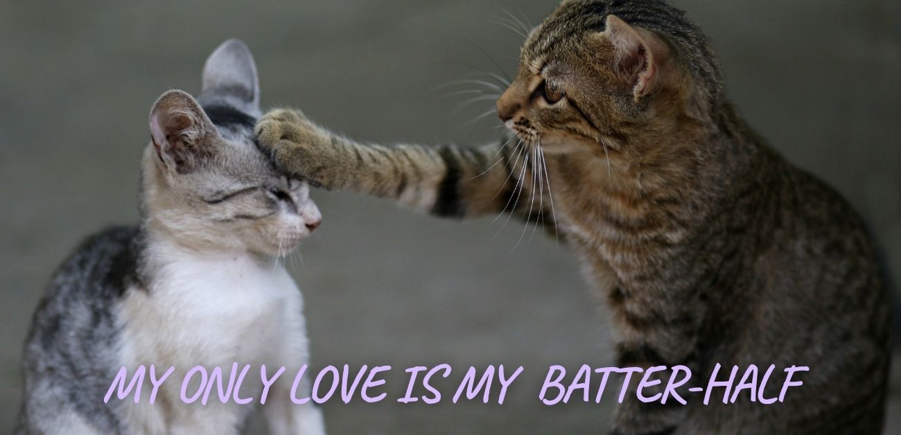 My only love is my batter-half
