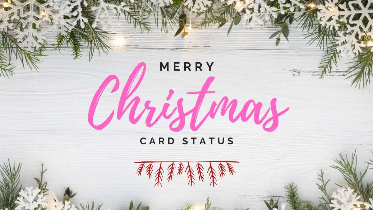Merry Christmas Card Status