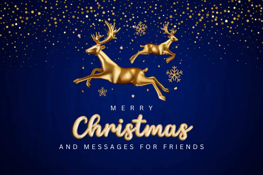 Christmas Status and Messages for Friends